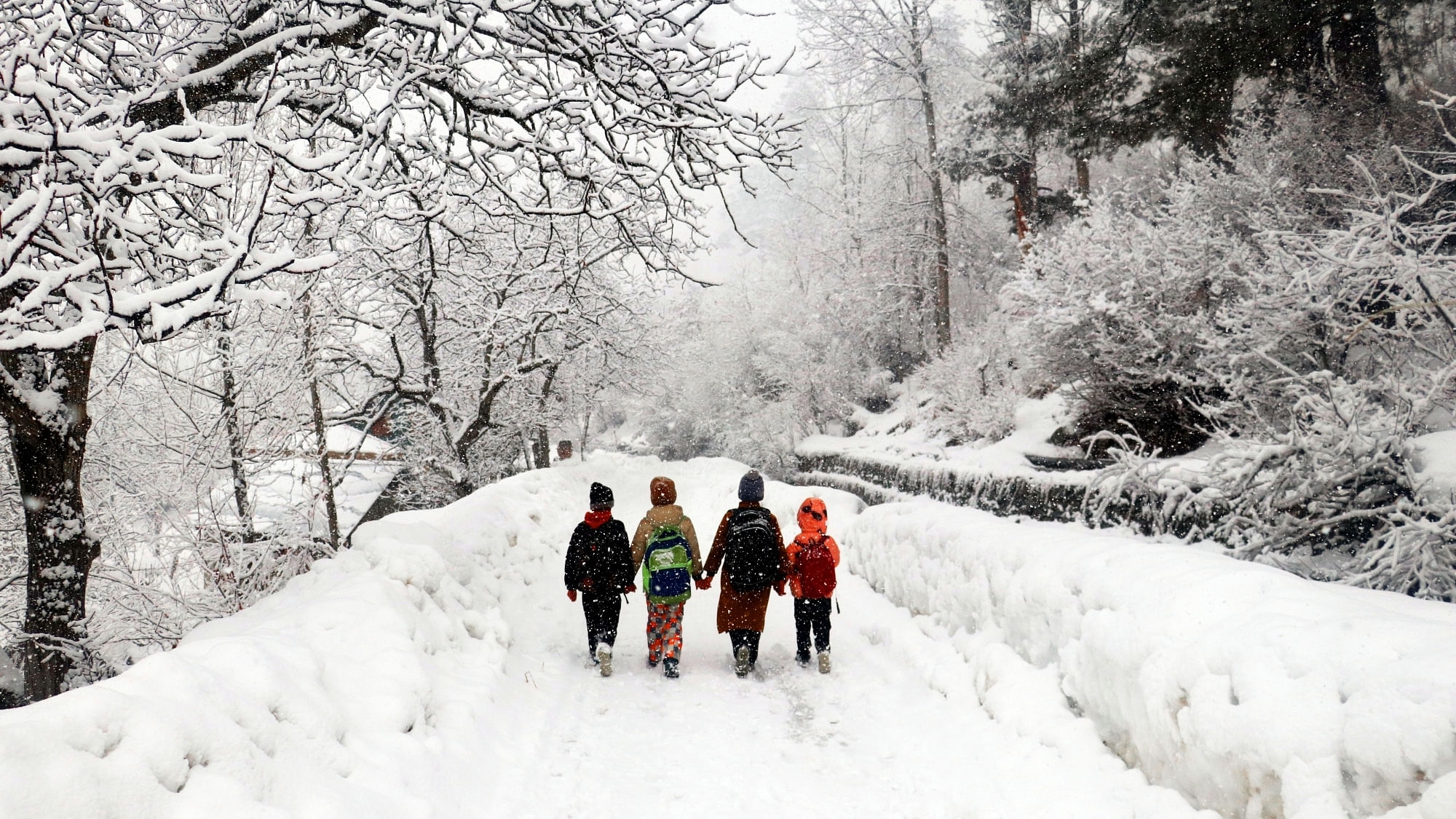 School students walk on a snow covered road amid heavy snowfall in Tangmarg area of Baramulla district. Credit: IANS Photo