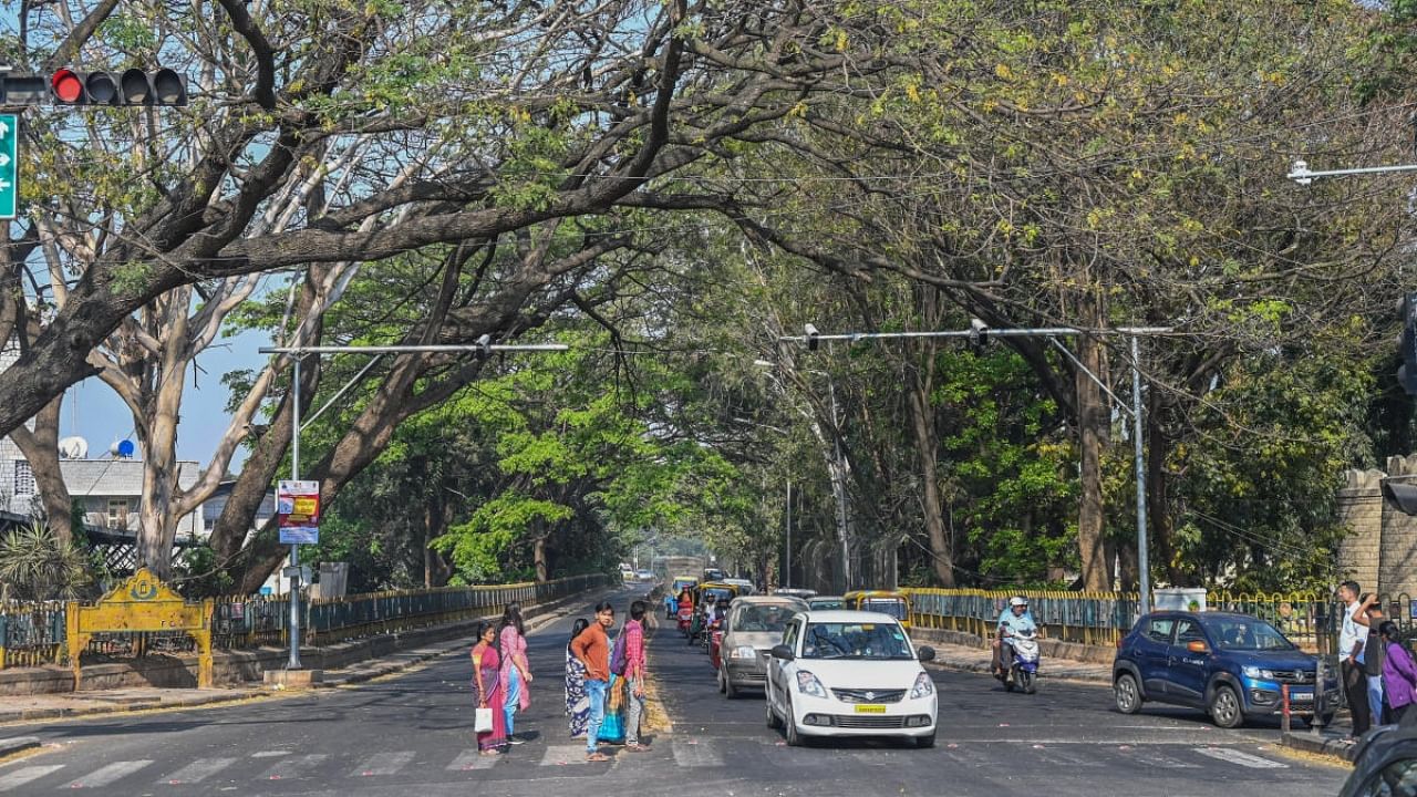 A view of Sankey road. Credit: DH Photo