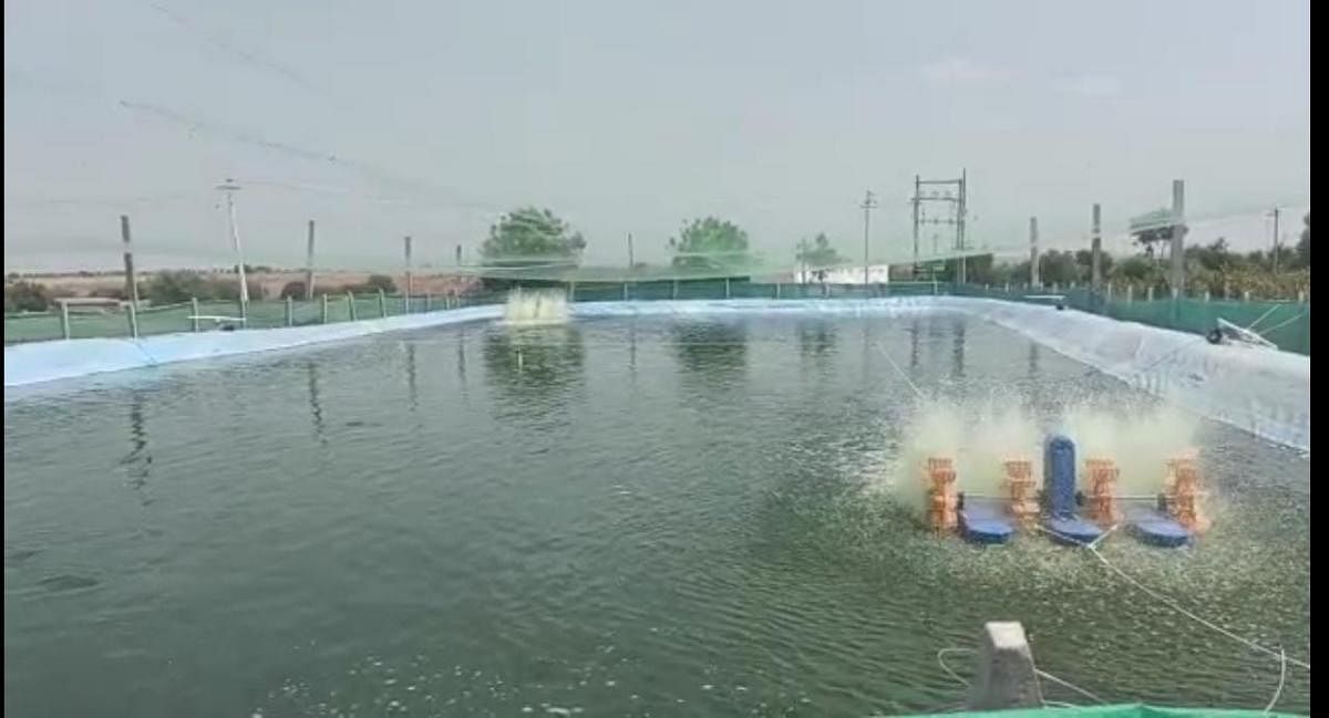 A tarpaulin pond built by farmer Veeresh Kavatagi on his agricultural land in Kaulagi village, Vijayapura taluk. Credit: Special Arrangement