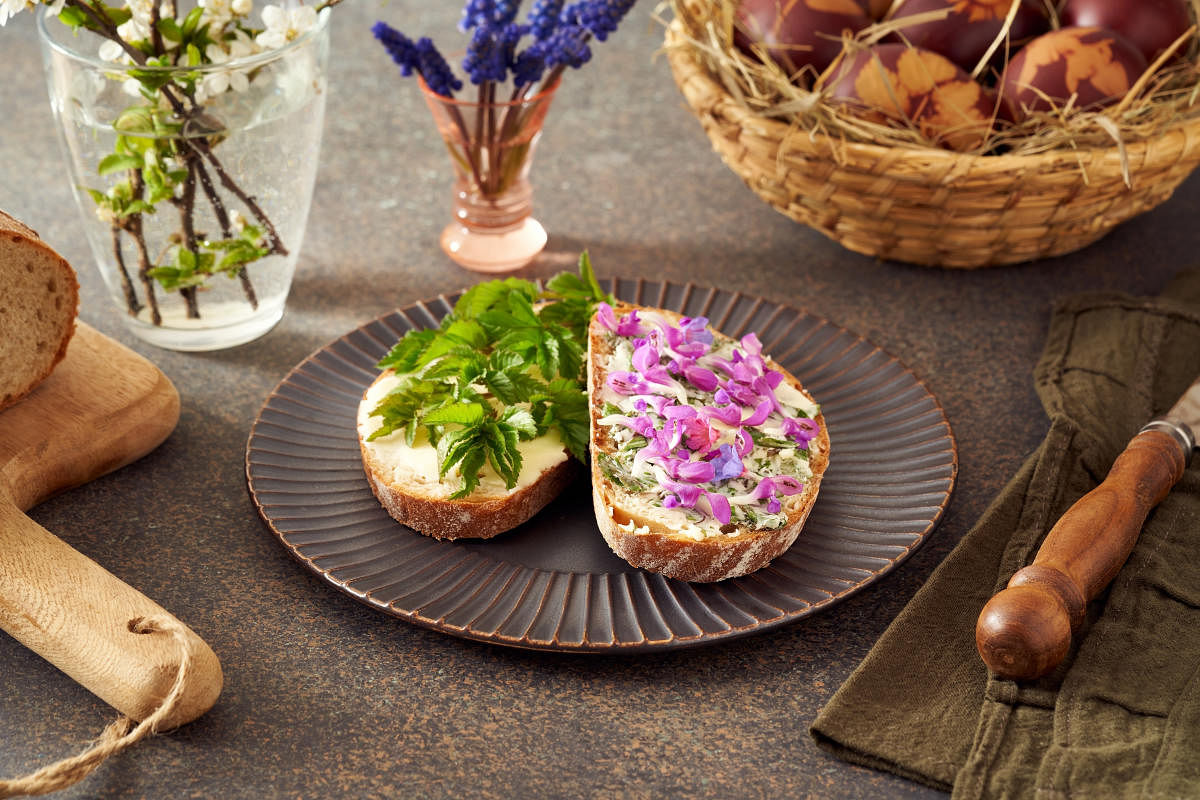 Bread and butter with wild edible goutweed leaves, purple dead nettle and lungwort