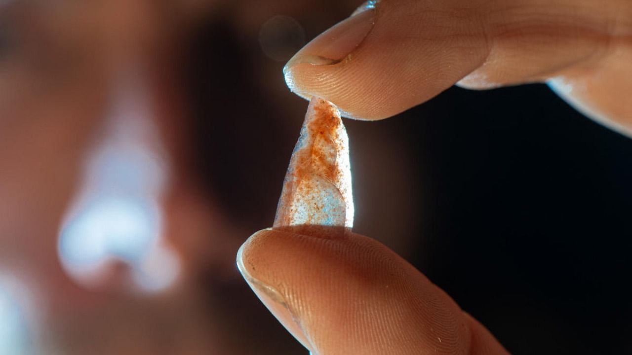 This handout photo courtesy of EurekAlert obtained on February 22, 2023 shows Dr Ludovic Slimak holding a Neronian nanopoint found in Grotte Mandrin layer E. The studies of these light points show that these tiny points were used as arrowheads 54,000 years ago in Mediterranean France. Credit: AFP Photo