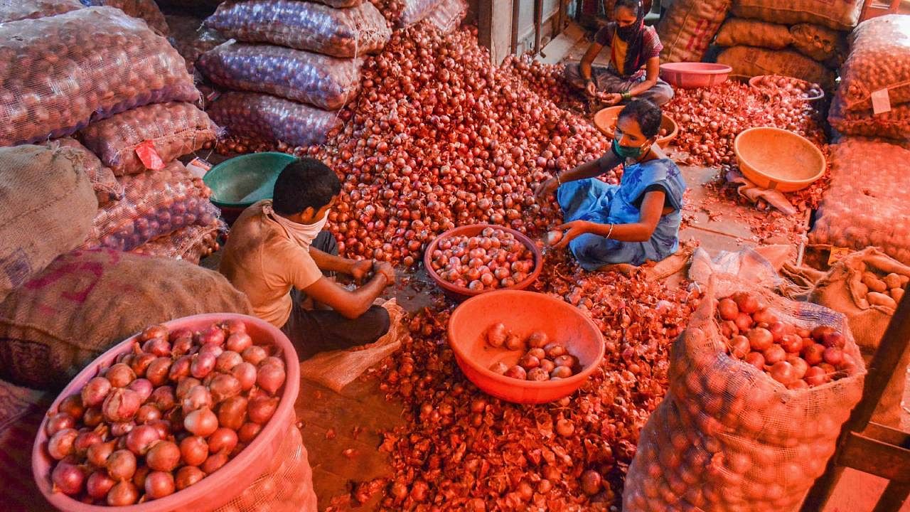 During April-December this fiscal, the exports rose by 16.3 per cent to $523.8 million. Credit: PTI Photo