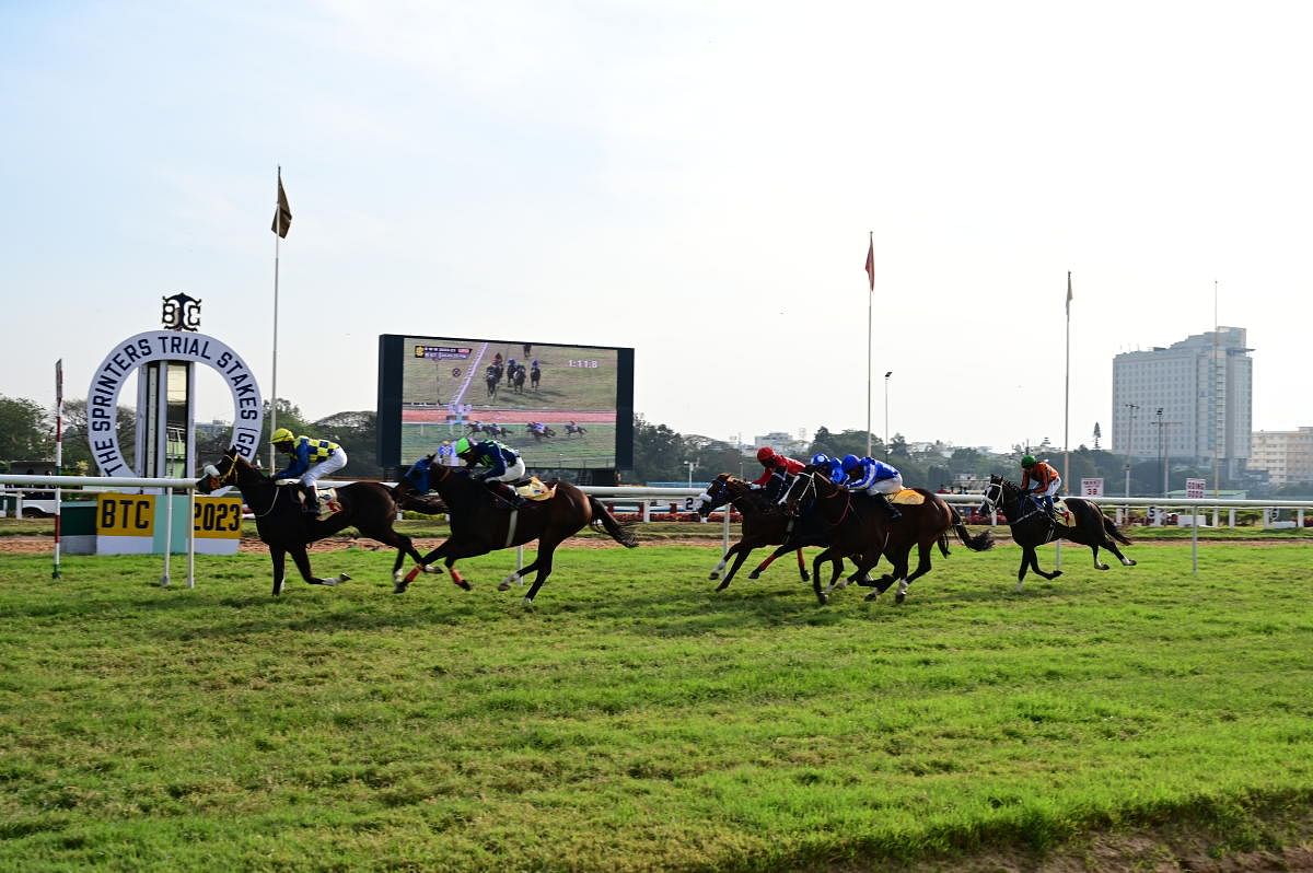 Horses race at the Indian Turf Invitation Cup. Credit: Special Arrangement