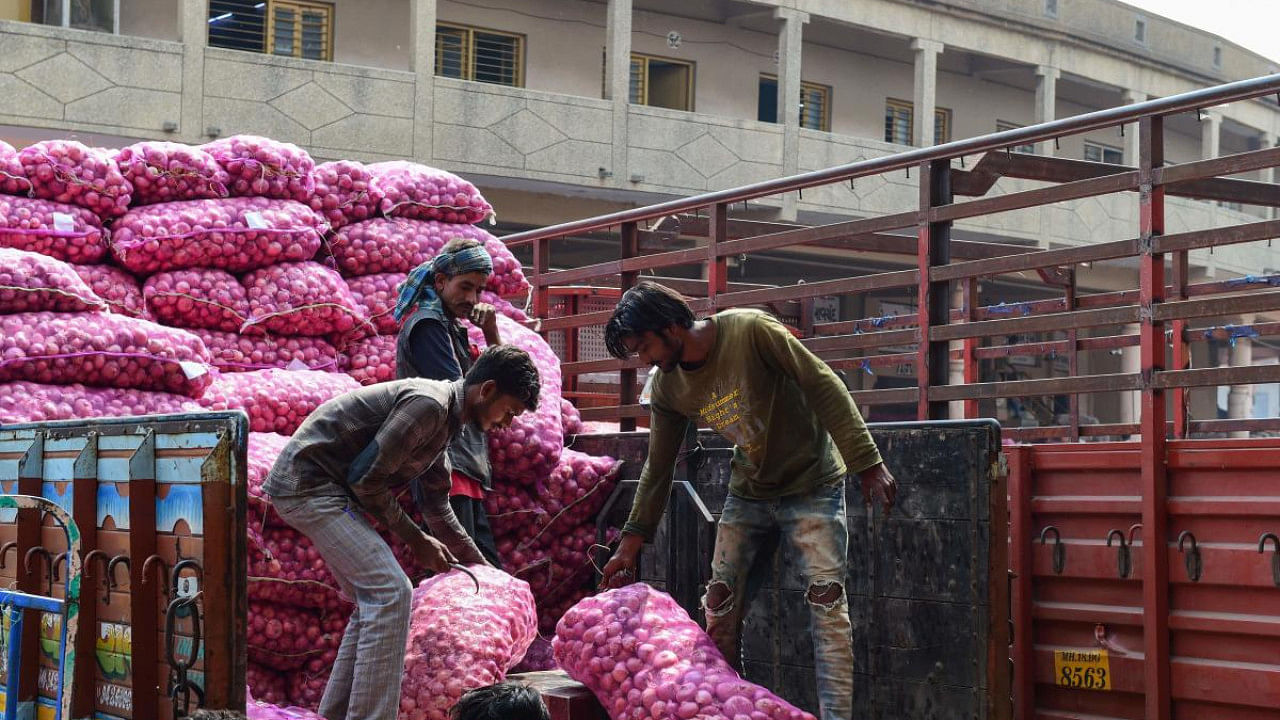 Prices of the crop have fallen to as low as Rs 200 ($2.44) per 100 kilograms. Credit: AFP Photo
