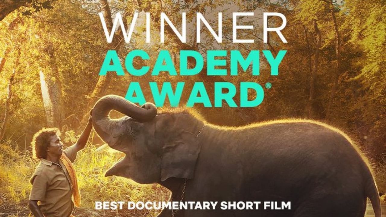 The elephants Raghu and Ammu have become famous after the documentary short film, 'The Elephant Whisperers', won an Oscar at the 95th Academy Awards. Credit: Twitter/ @NetflixIndia