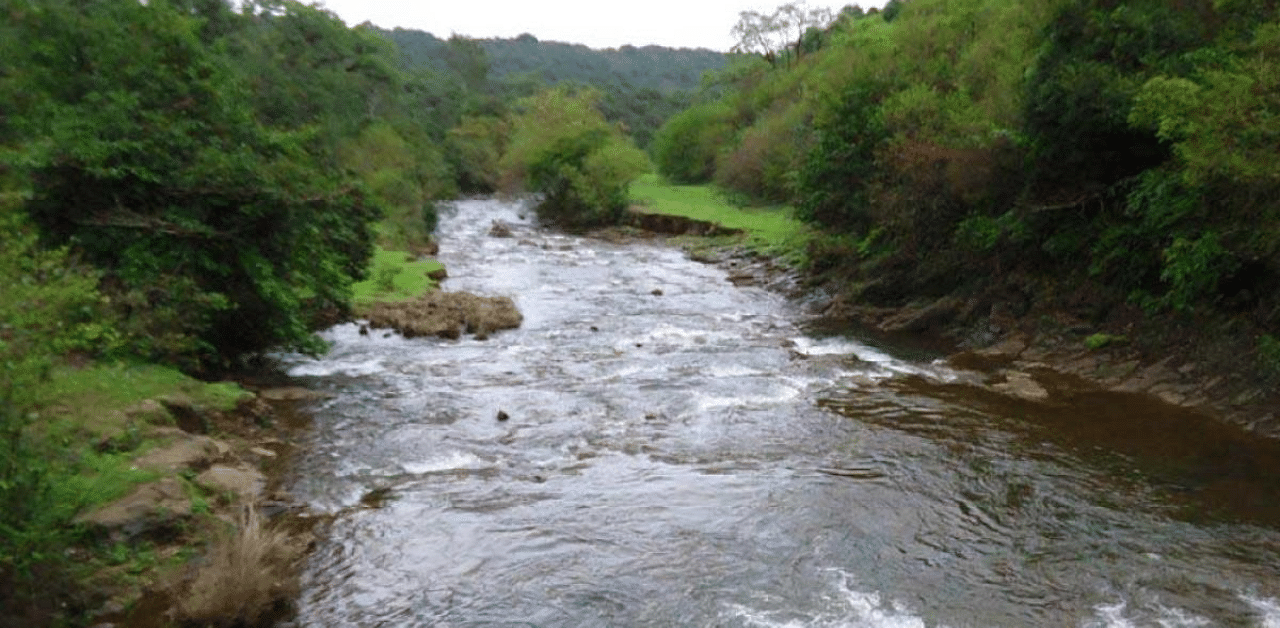 File Photo of Mahadayi river. Credit: DH File Photo