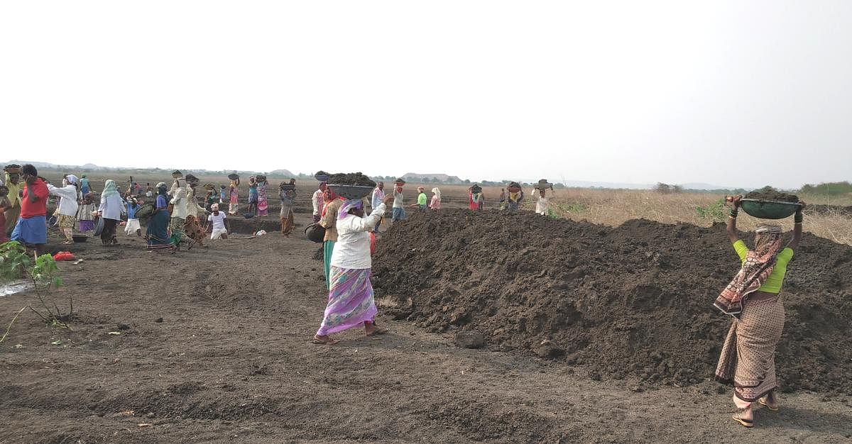 In 2014, a report by the Comptroller and Auditor General of India flagged discrepancies in the implementation of MGNREGA works taken up between 2007 and 2012. Credit: DH File Photo