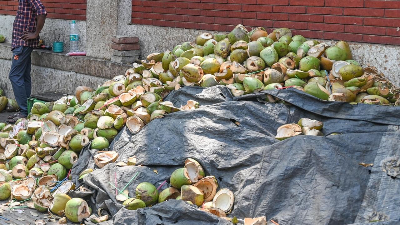 Discarded tender coconut shells littering street corners is an eyesore. Credit: DH Photo