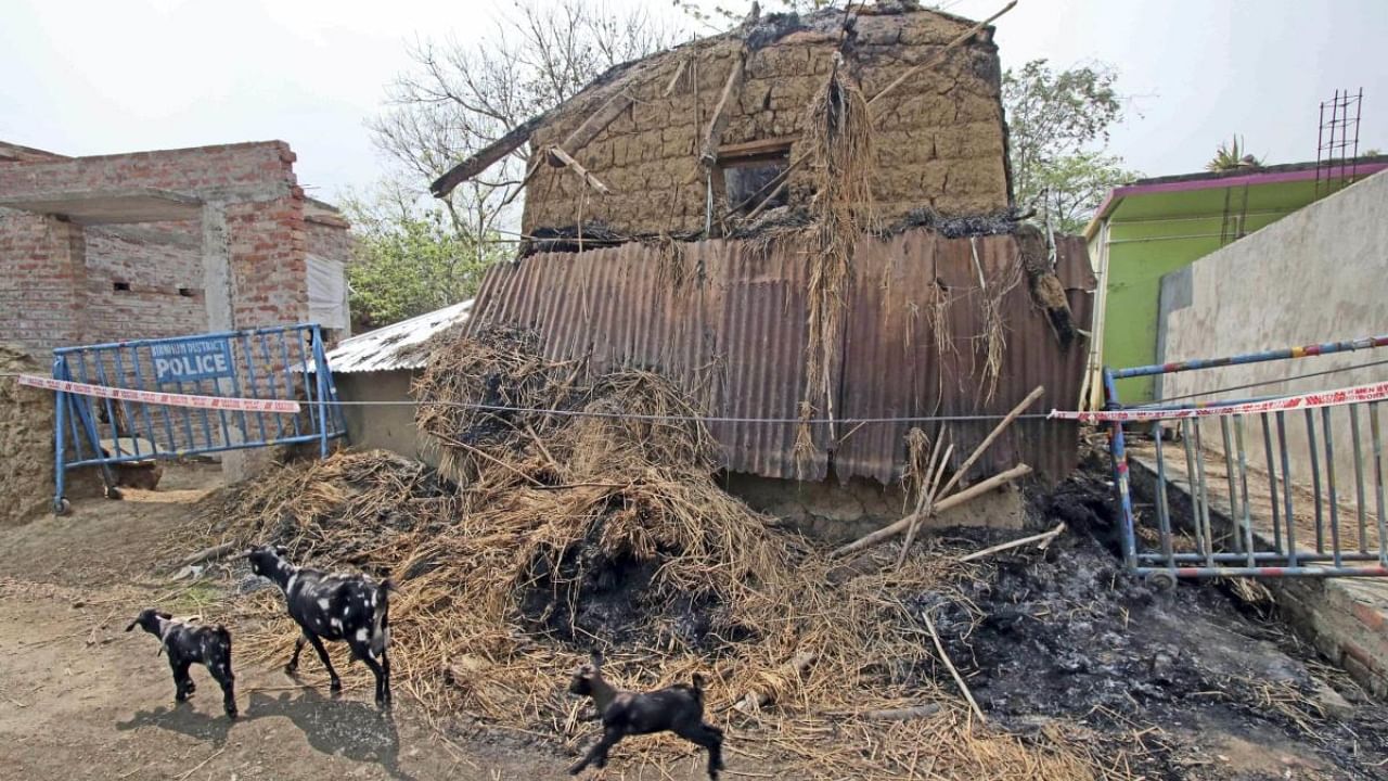 Goats walk in front of a damaged house at Bogtui village. Credit: PTI File Photo