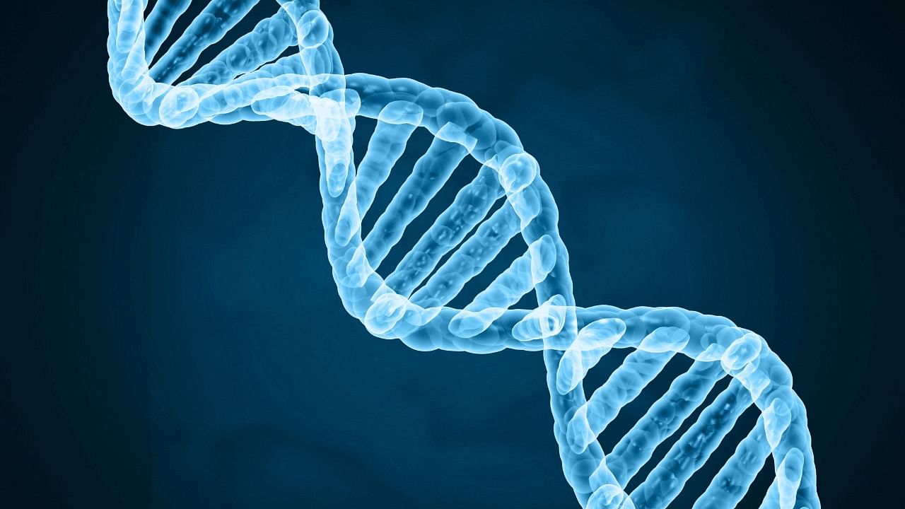 Genome-wide association, a data-rich method, has emerged to try to identify specific genes involved in certain disorders in recent decades. Credit: iStock Photo