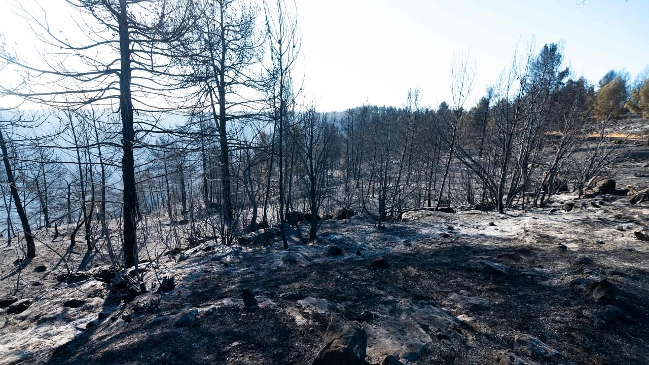 This picture taken near the village of Los Peiros, on March 25, 2023, shows forest area burnt by a wildfire that began on March 23, 2023 near Villanueva de Viver, some 90 kilometres (55 miles) north of Valencia. Credit: AFP Photo