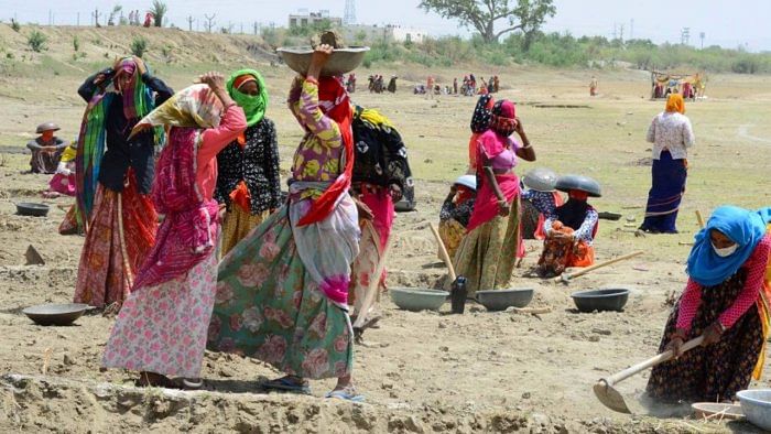 Labourers under MNREGA work at a site in Bewar, Rajasthan. Credit: PTI File Photo  