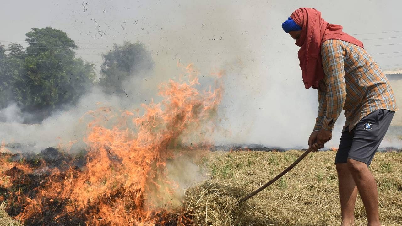 A farmer burns straw stubble after harvesting a paddy crop in a field. Credit: AFP Photo