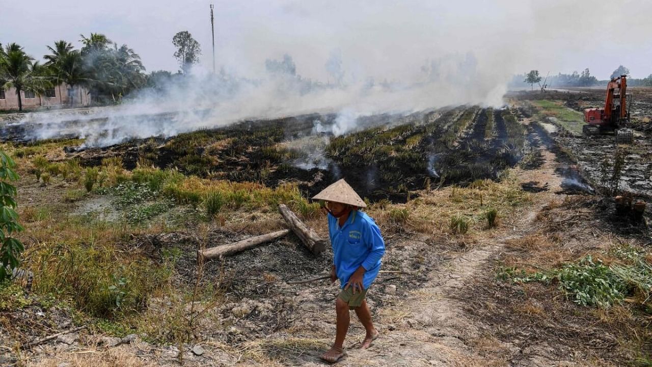 A farmer walking past burning straw stubble in a rice field in Can Tho. Credit: AFP Photo
