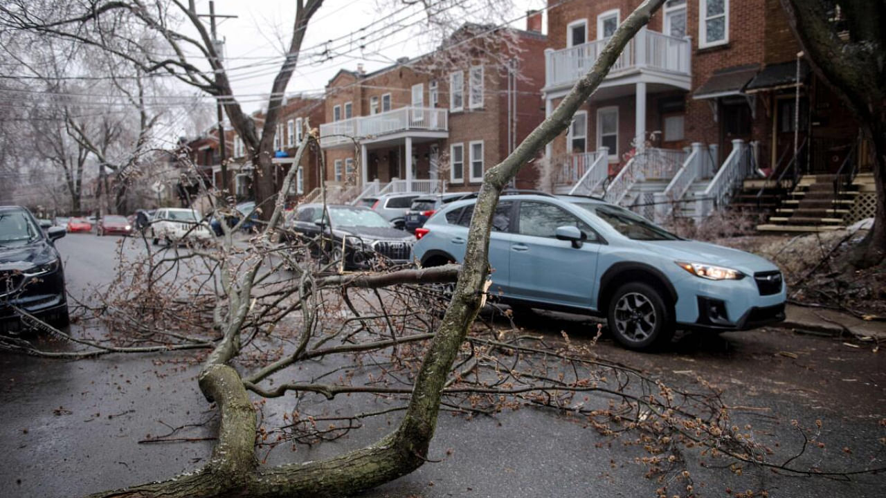 Power lines fell in Monkland Village after freezing rain hit parts of Quebec and Ontario in Montreal. Credit: AFP Photo