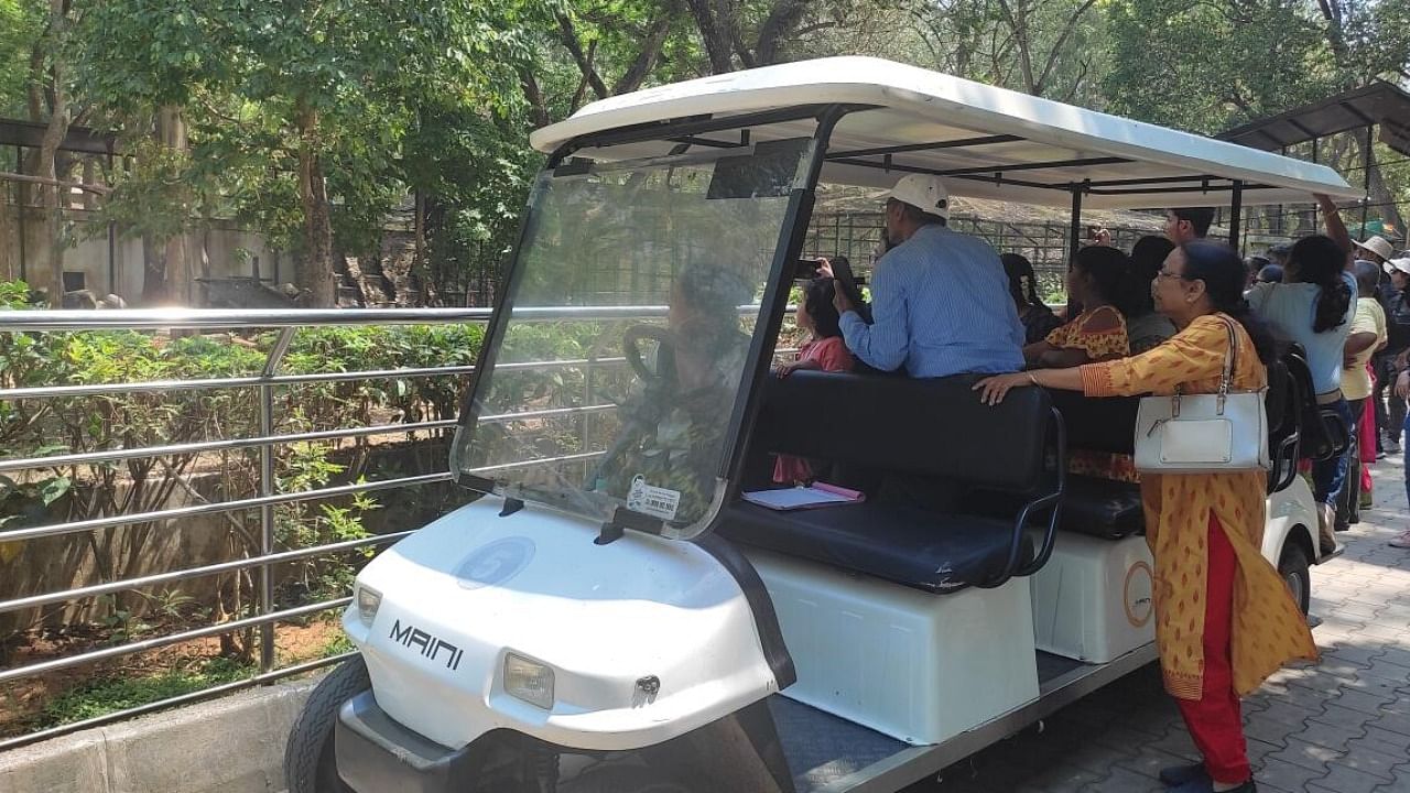 Visitors to the park take a ride on a buggy. DH PHOTO