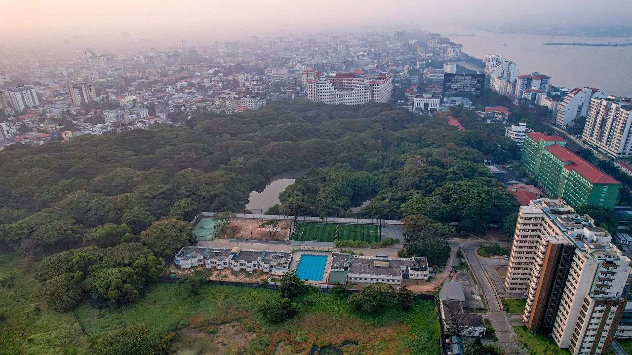 Mangalavanam, a protected bird sanctuary, sits in the heart of the city in Kochi, Kerala. Credit: PTI/AP Photo