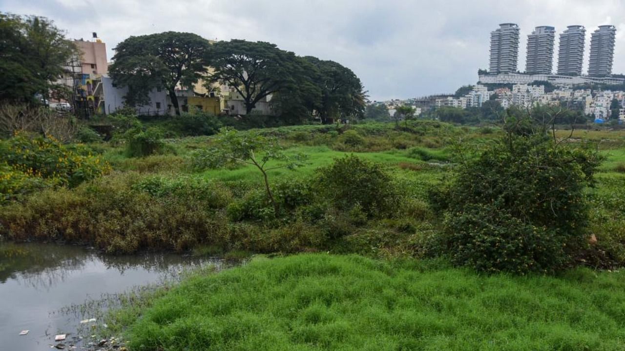 File photo of Hosakerehalli Lake. credit: DH Photo