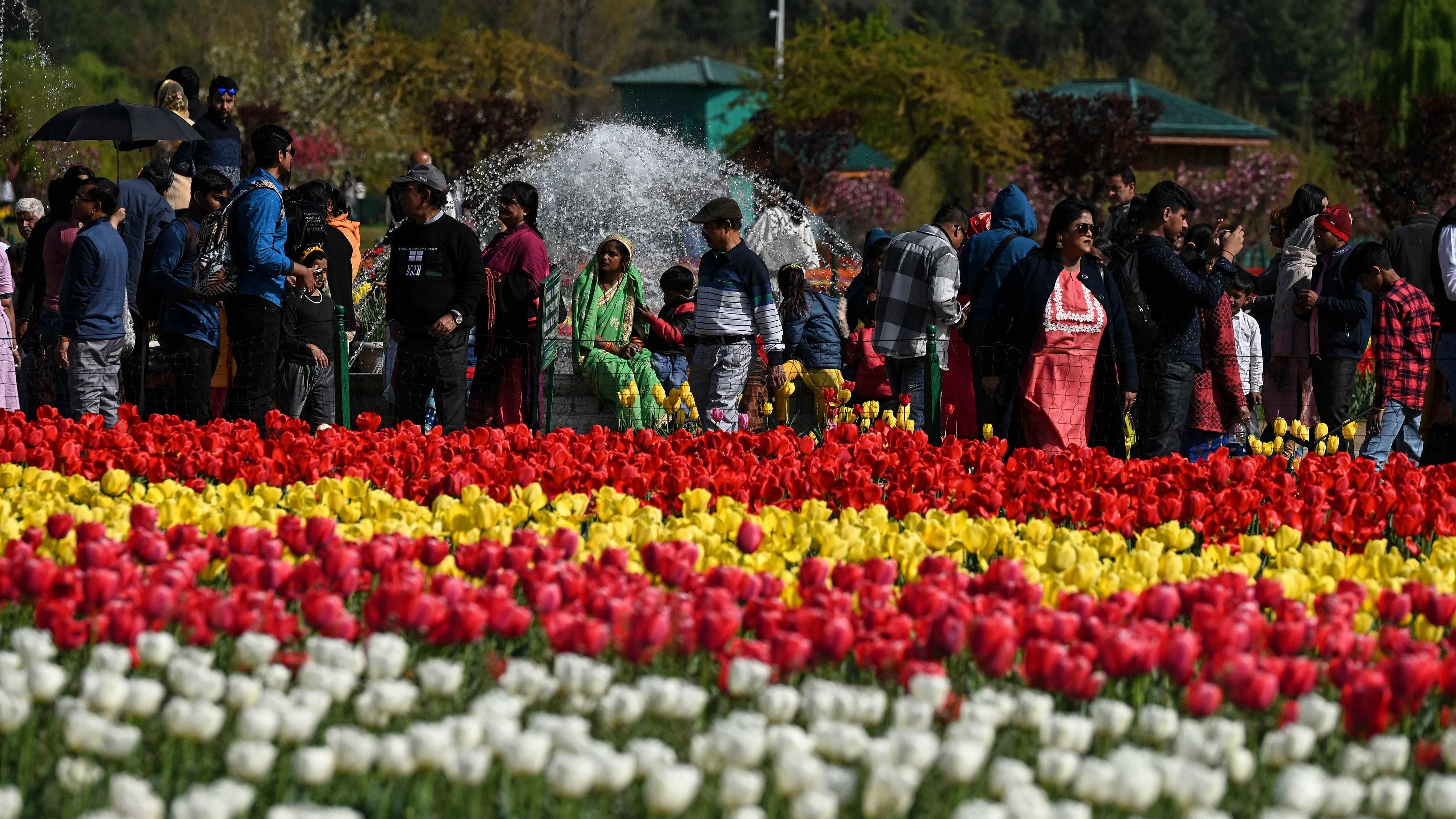 Tourists visit the Tulip Garden that is claimed to be Asia's largest. Credit: AFP Photo