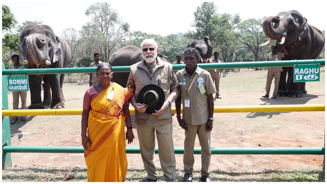 PM Modi with 'The Elephant Whisperers' stars Bellie and Bomman. Credit: Twitter/@narendramodi