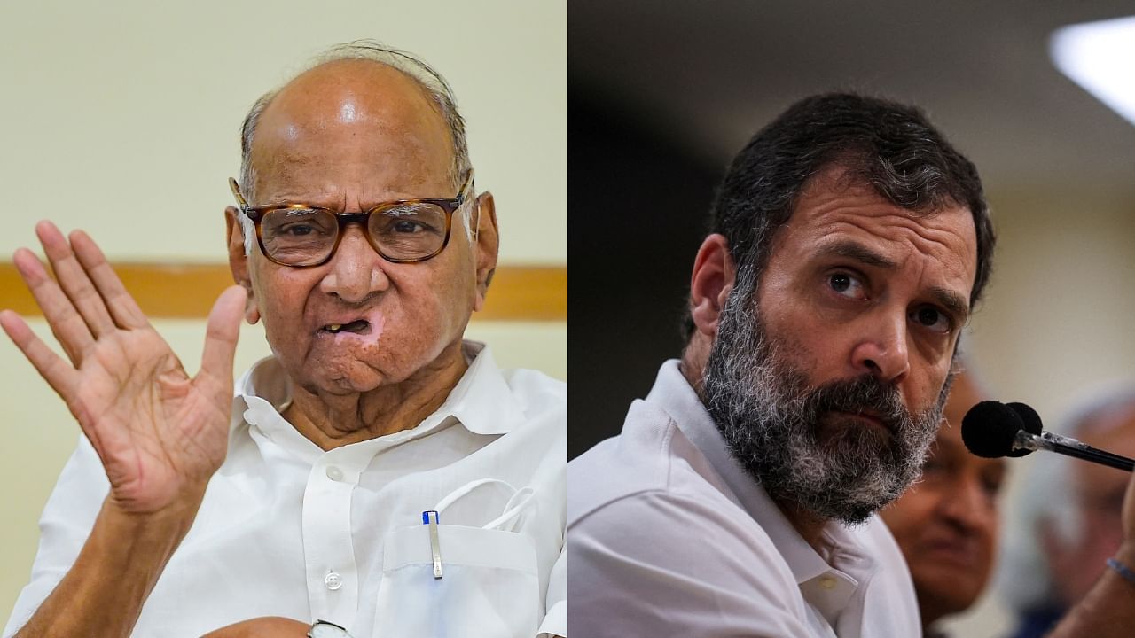 NCP supremo Sharad Pawar (L) and Congress leader Rahul Gandhi. Credit: PTI/Reuters Photos