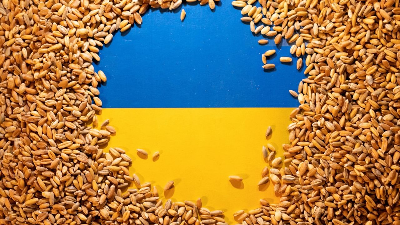 Ukrainian flag is covered with grains in this illustration. Credit: Reuters File Photo
