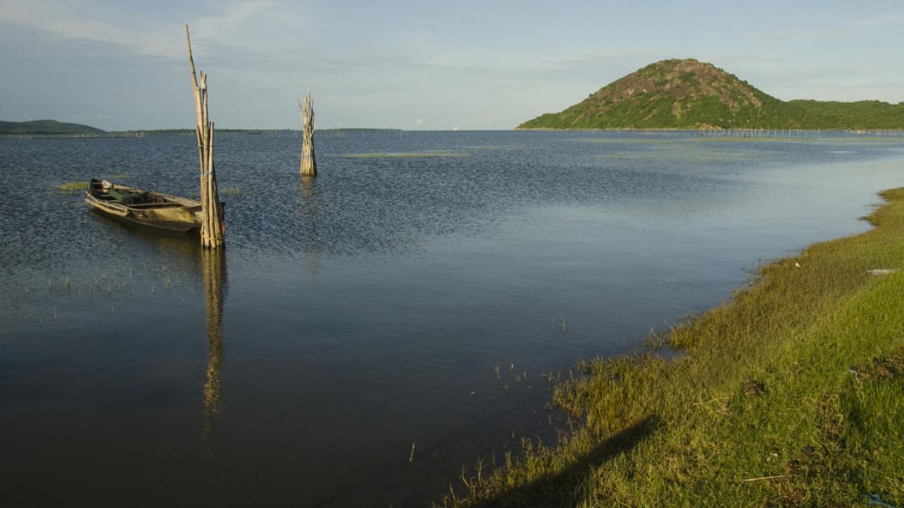 File photo of Odisha's Chilika lake. credit: Getty Images 