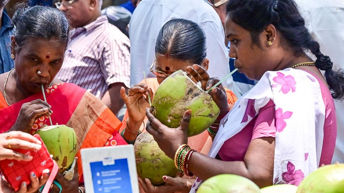 Women sip on tender coconut water to beat the summer heat in Banashankari. Credit: DH PHOTO/Prashant H G