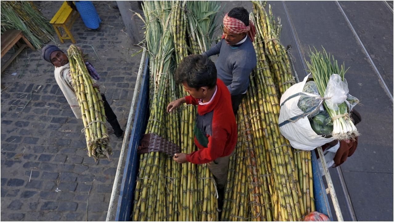 Labourers load sugarcane into a load carrier at a wholesale sugarcane market in Kolkata. Credit: Reuters Photo
