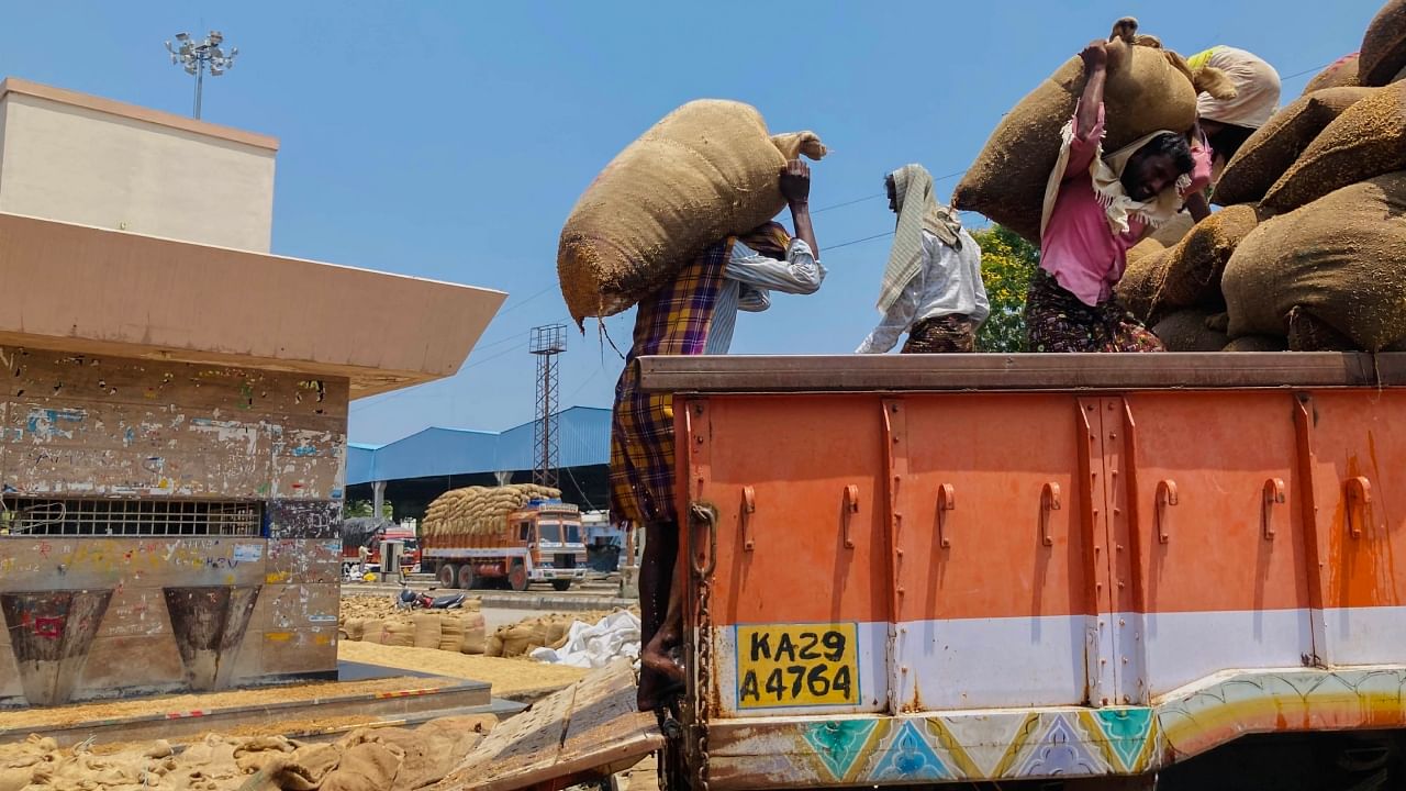 Labourers load water-soaked rice sacks into a truck from an APMC yard. Credit: PTI Photo