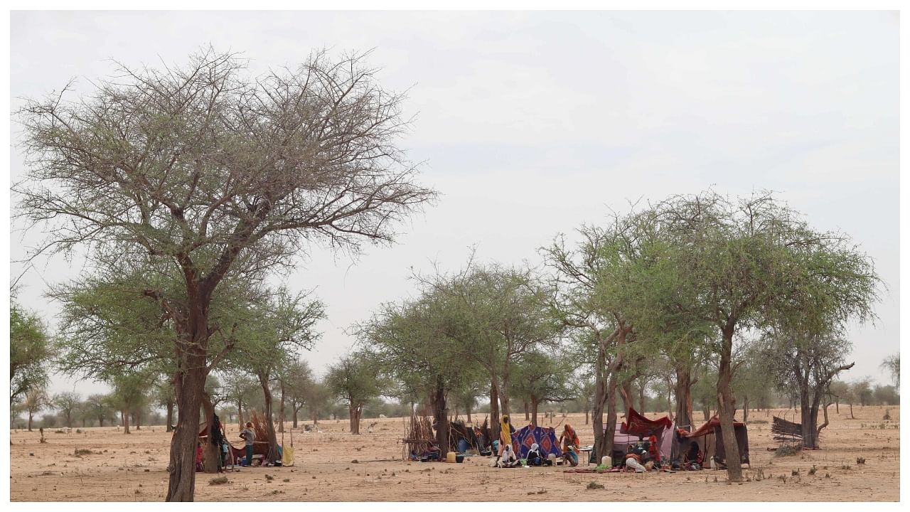 Sudanese refugees who crossed into Chad shelter under trees at a camp in Koufroun, near Echbara, on May 1, 2023. Credit: AFP Photo