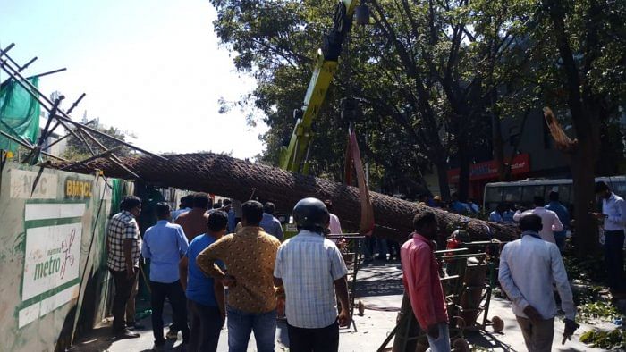 The reinforcement cage fell on a four-member family travelling on a motorcycle, killing a woman and her toddler son. Credit: DH File Photo