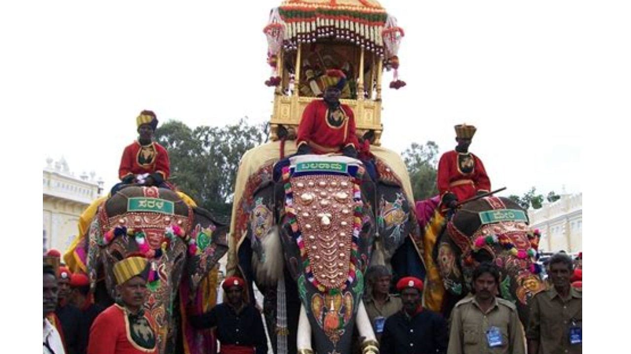 Balarama had participated in Dasara more than 22 times and carried the golden howdah 13 times. Credit: Special Arrangement 