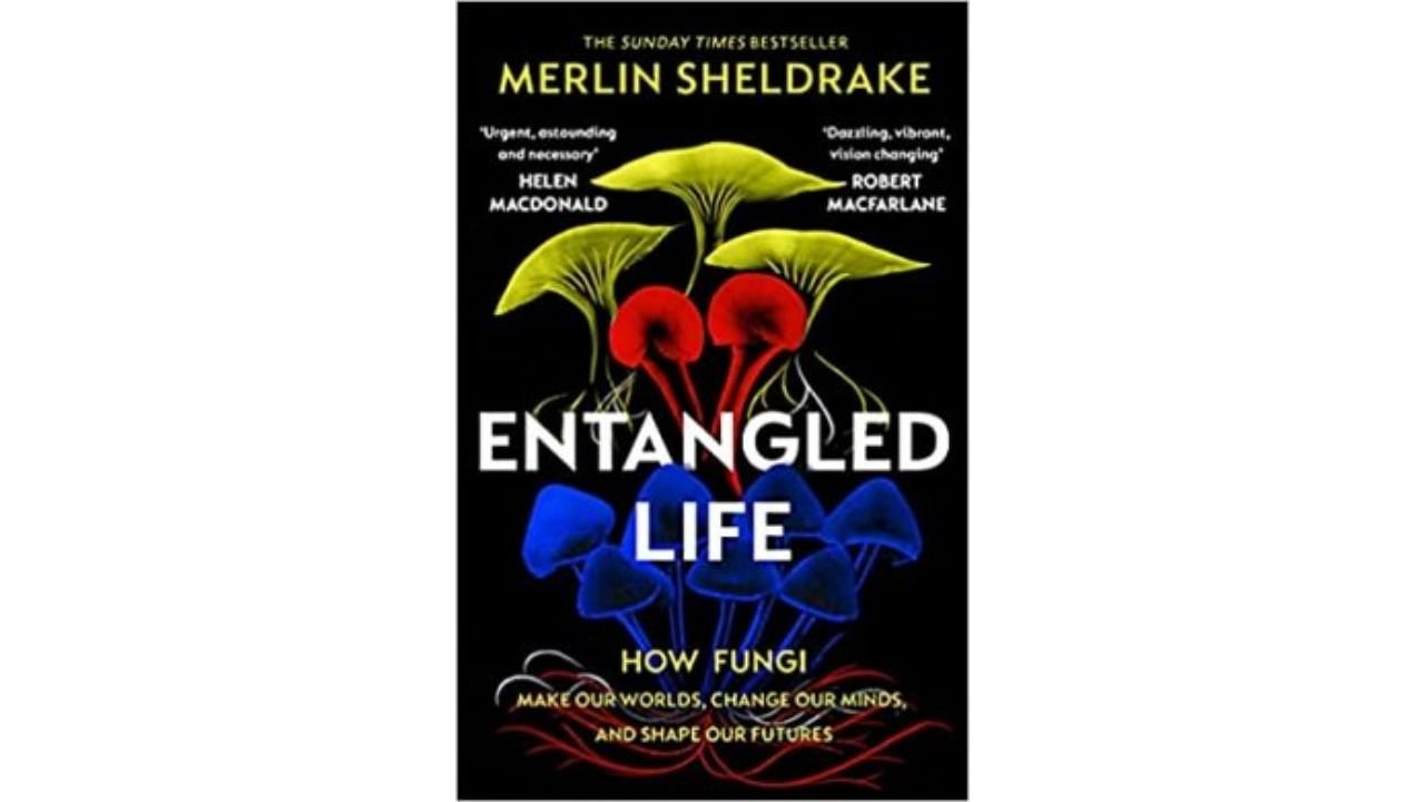 Entangled Life