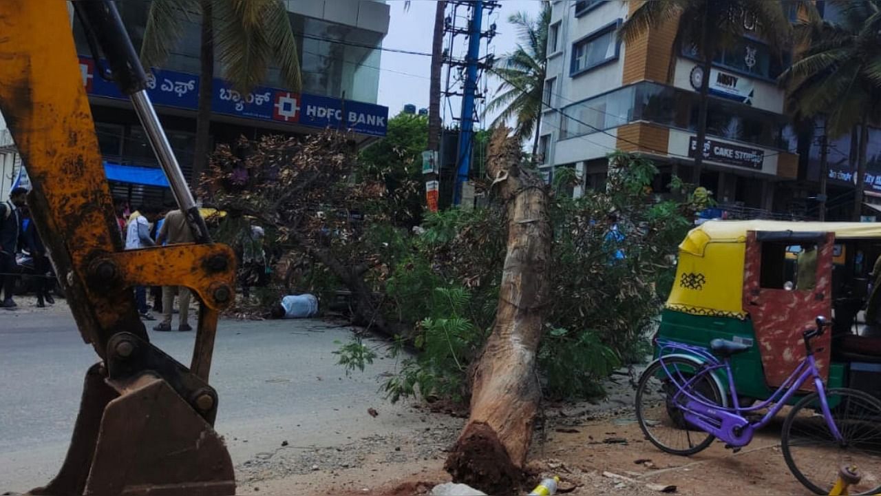 The tree fell on the riders on Kengeri-Uttarahalli Main Road