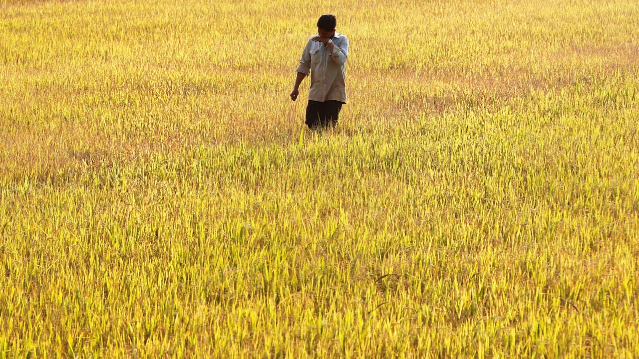 Representative image. Credit: Reuters Photo