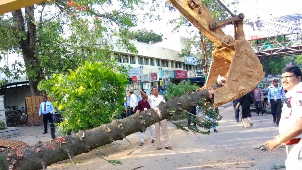 Traffic police from the Ashok Nagar station and BBMP volunteers clear the tree from the road using an earthmover. DH PHOTO/Udbhavi Balakrishna