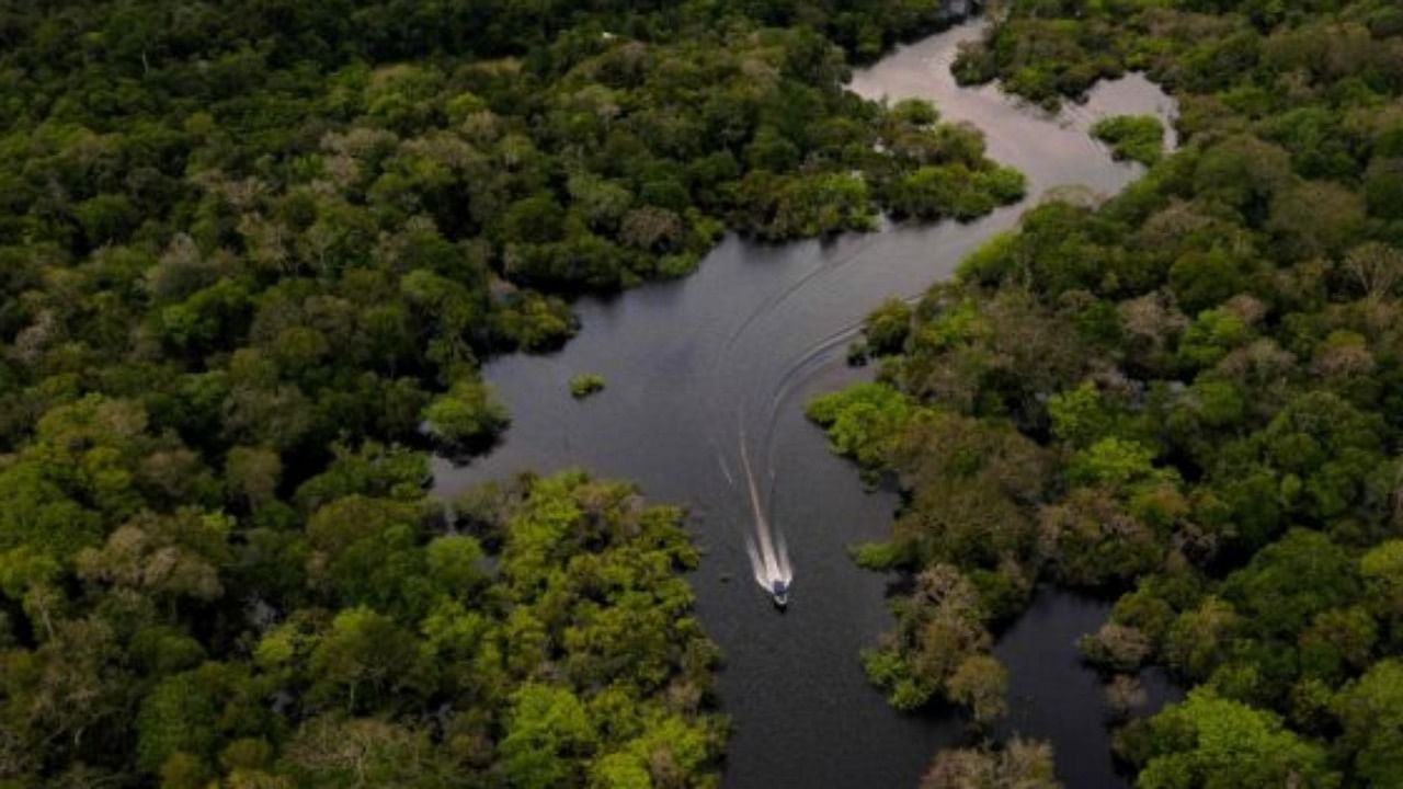 A view of the Amazon rainforest and river. Credit: AFP File Photo