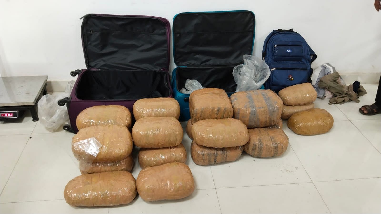 The ganja seized by the Railway Protection Force. Credit: Special Arrangement