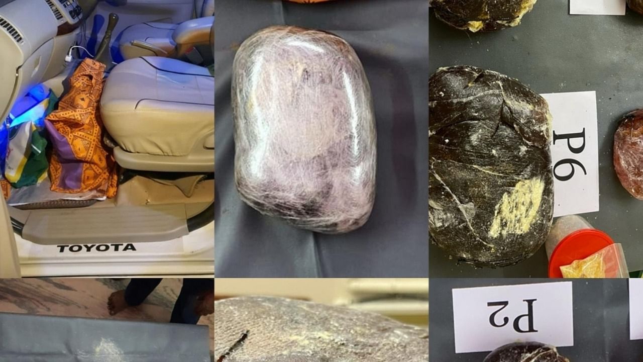 Ambergris is a product of sperm whale, which is a protected species under the Wildlife Protection Act, 1972 and is thus prohibited for possession/export/transport. Credit: IANS Photo