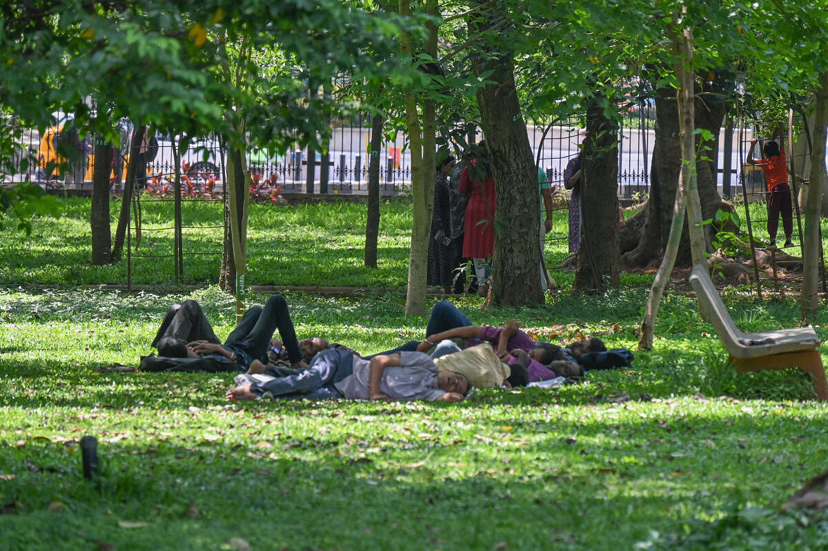People sleep taking rest under tree shade due to hot climate at Cubbon park in Bengaluru on Monday, 15th May 2023. Credit: DH Photo/ S K Dinesh