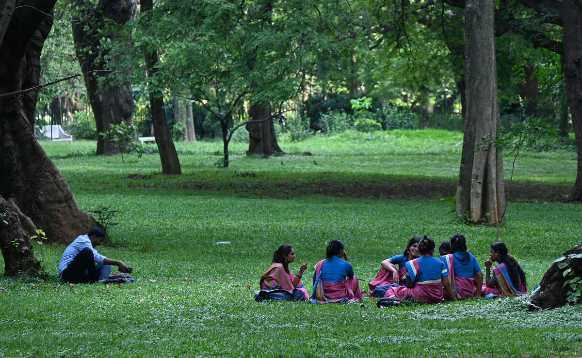People resting in Cubbon park. Credit: DH Photo/B K Janardhan