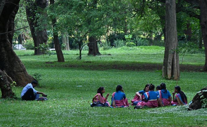 People resting in Cubbon park. Credit: DH Photo/B K Janardhan 