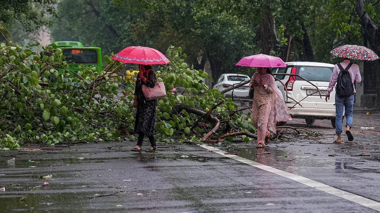 People walk past a fallen tree during rain, in New Delhi. Credit: PTI Photo