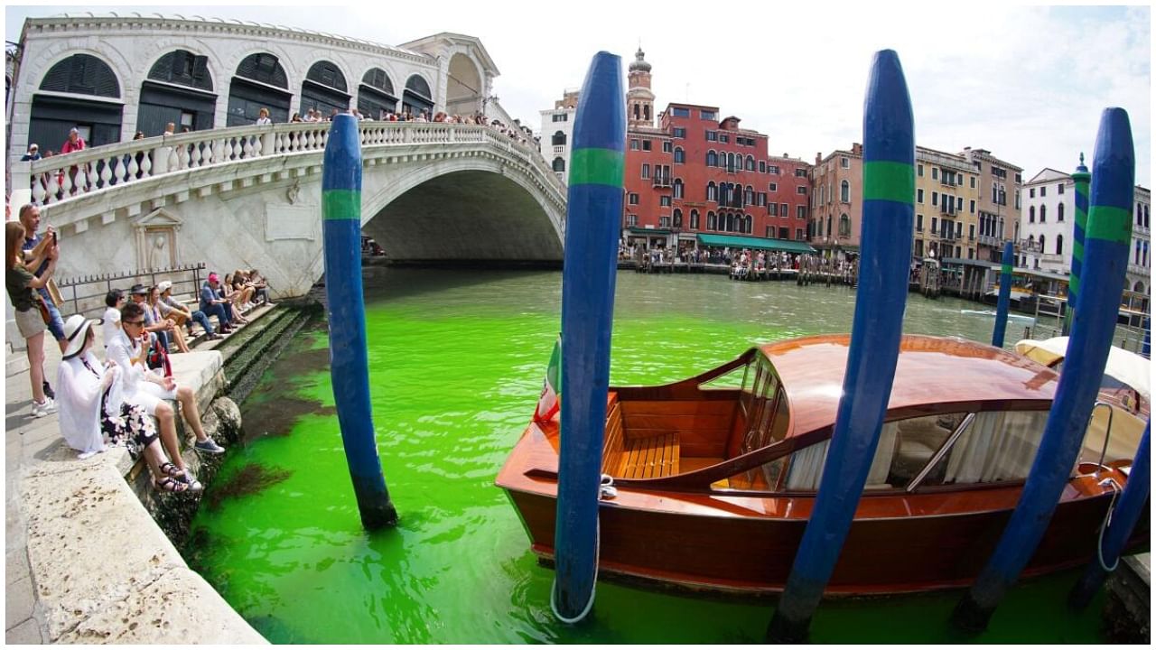 Venice's waters turn green due to an unknown substance near the Rialto Bridge. Credit: Reuters Photo