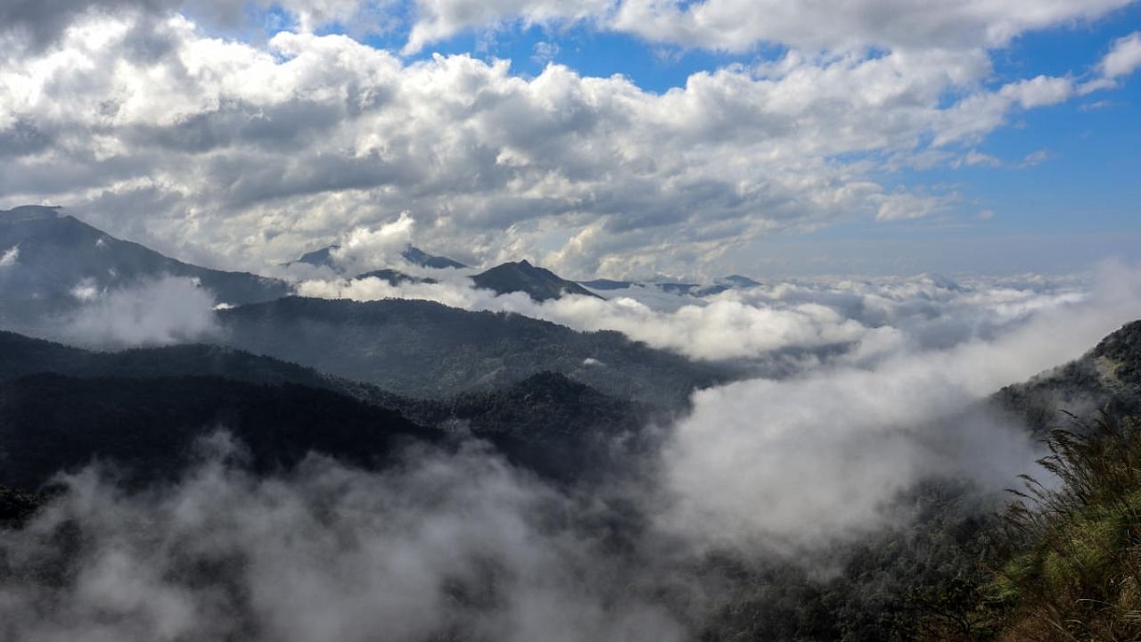 Charmadi Ghat in Dakshina Kannada's Belthangady taluk. Credit: DH Photo