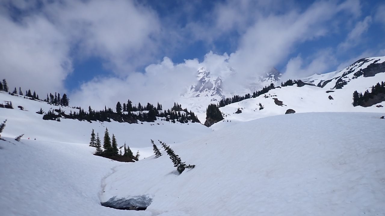 Mount Rainer. Credit: Twitter/@MountRainierNPS