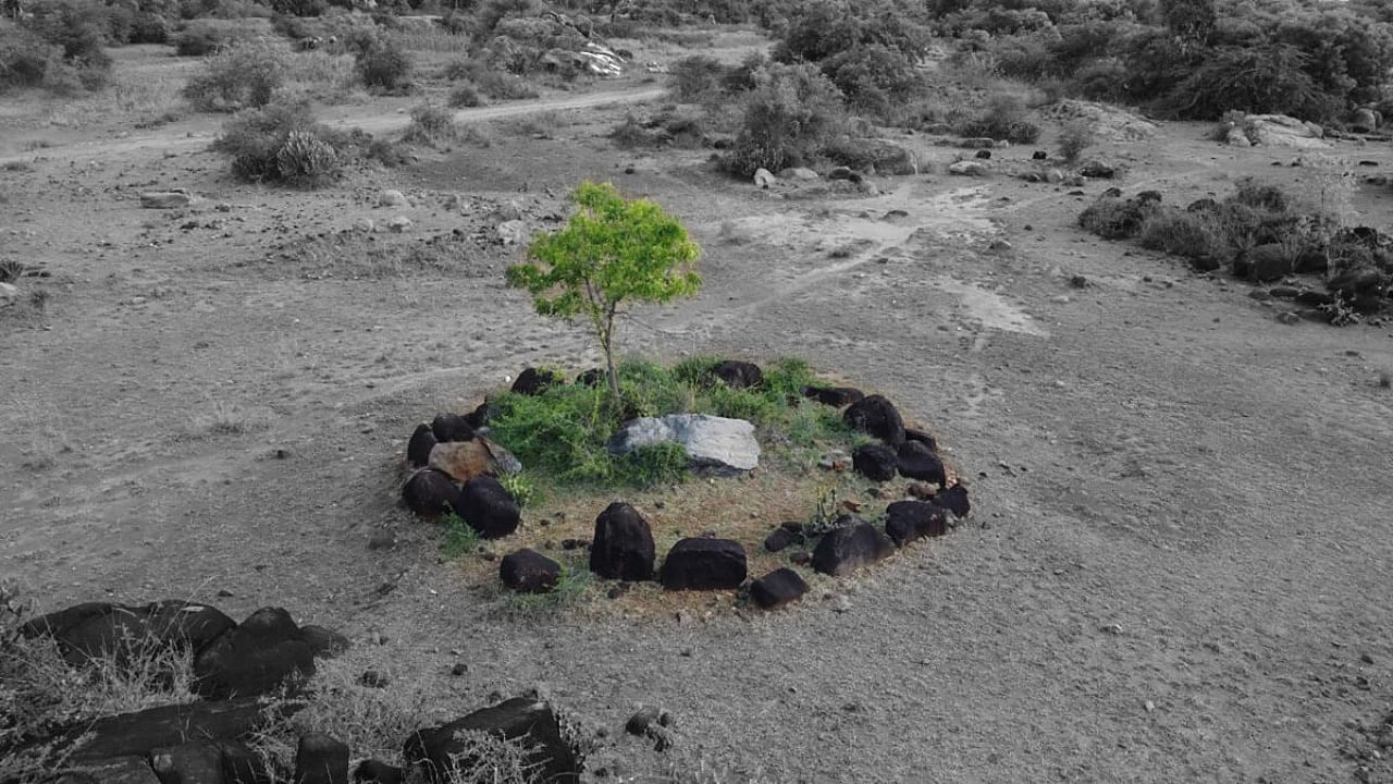 A stone circle at Kilnamandi, TN. Credit: Special arrangement