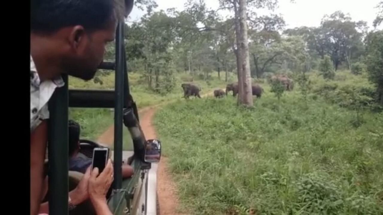 A video grab of an elephant chasing the safari vehicle, in which writer K S Bhagawan and others were present, during the wildlife safari at K Gudi range, BRT Tiger Reserve, in Chamarajanagar district. Credit: Special Arrangement