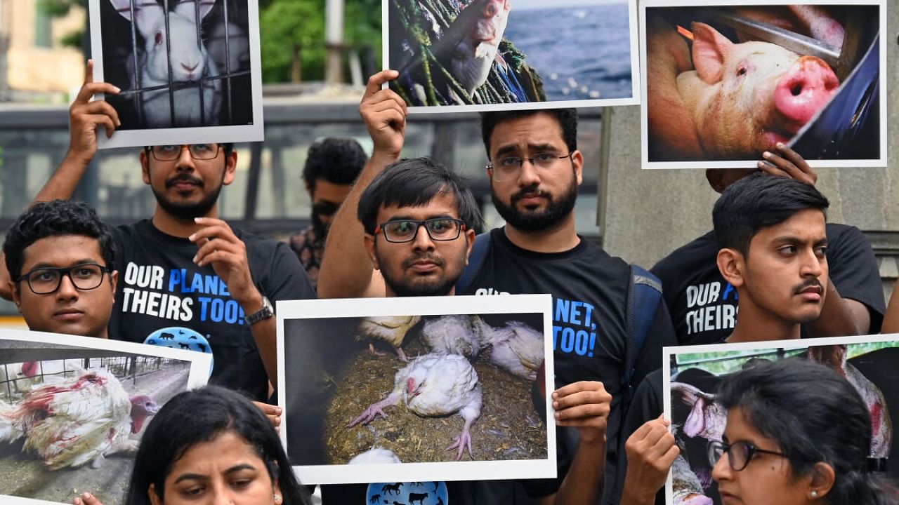 The purpose of the event was to draw public attention to the brutal treatment of animals. Credit: Special Arrangement